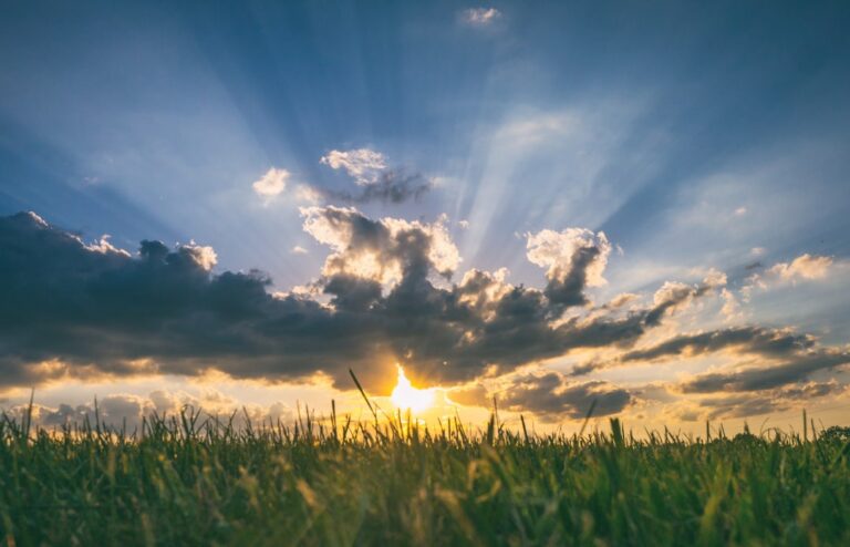 The Power of Vitamin D 50000 IU: Benefits and Dosage