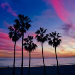 Sultry Summer: Embracing the Heat and Sensuality