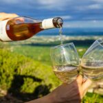 Discover the Delight of Saldo Wine